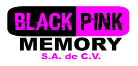 AION Memorias y Accesorios